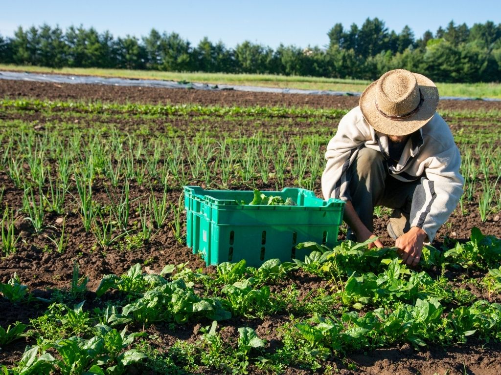  Organic farming course in Dehradun
